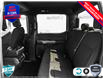 2025 Ford F-150 STX (Stk: 25F1195) in St. Catharines - Image 20 of 23