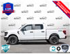 2025 Ford F-150 STX (Stk: 25F1193) in St. Catharines - Image 3 of 23