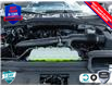 2025 Ford F-150 XLT (Stk: 25F1308) in St. Catharines - Image 6 of 24