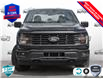 2025 Ford F-150 STX (Stk: 25F1187) in St. Catharines - Image 2 of 21