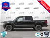 2025 Ford F-150 STX (Stk: 25F1187) in St. Catharines - Image 3 of 21