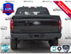 2025 Ford F-150 STX (Stk: 25F1187) in St. Catharines - Image 5 of 21