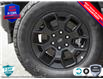 2025 Ford F-150 STX (Stk: 25F1187) in St. Catharines - Image 8 of 21