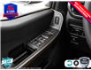 2025 Ford F-150 STX (Stk: 25F1187) in St. Catharines - Image 14 of 21