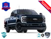 2025 Ford F-250 XLT (Stk: 25F2235) in St. Catharines - Image 4 of 7