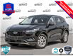 2025 Ford Escape Active (Stk: 25ES338) in St. Catharines - Image 1 of 25