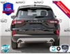2025 Ford Escape Active (Stk: 25ES338) in St. Catharines - Image 5 of 25