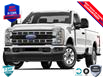 2025 Ford F-250 XLT (Stk: FH027) in Sault Ste. Marie - Image 1 of 2