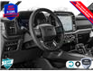 2025 Ford F-150 XLT (Stk: 250113) in Hamilton - Image 12 of 24