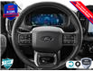 2025 Ford F-150 XLT (Stk: 250113) in Hamilton - Image 13 of 24