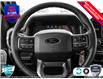 2025 Ford F-150 XLT (Stk: 250251) in Hamilton - Image 13 of 25