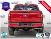 2025 Ford F-150 XLT (Stk: 25F1406) in St. Catharines - Image 5 of 25