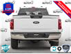 2025 Ford F-150 XLT (Stk: 25F1361) in St. Catharines - Image 5 of 23