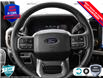 2025 Ford F-150 XLT (Stk: 25F1361) in St. Catharines - Image 12 of 23