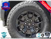 2025 Ford F-150 STX (Stk: 25F1180) in St. Catharines - Image 8 of 24