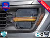 2025 Ford F-150 STX (Stk: 25F1180) in St. Catharines - Image 10 of 24