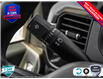 2025 Ford F-150 STX (Stk: 25F1180) in St. Catharines - Image 24 of 24