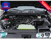 2025 Ford F-150 XLT (Stk: 25F1351) in St. Catharines - Image 6 of 25