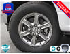 2025 Ford F-150 XLT (Stk: 25F1402) in St. Catharines - Image 7 of 23
