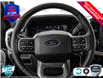 2025 Ford F-150 XLT (Stk: 25F1348) in St. Catharines - Image 13 of 25