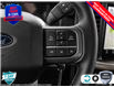 2025 Ford F-150 XLT (Stk: 25F1348) in St. Catharines - Image 15 of 25