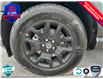 2025 Ford Bronco Sport Big Bend (Stk: 25BS457) in St. Catharines - Image 7 of 21