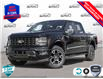 2025 Ford F-150 STX (Stk: 25F1279) in St. Catharines - Image 1 of 21