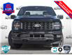 2025 Ford F-150 STX (Stk: 25F1279) in St. Catharines - Image 2 of 21