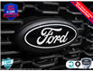 2025 Ford F-150 STX (Stk: 25F1279) in St. Catharines - Image 7 of 21