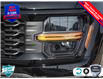 2025 Ford F-150 STX (Stk: 25F1279) in St. Catharines - Image 8 of 21