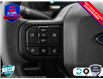 2025 Ford F-150 STX (Stk: 25F1279) in St. Catharines - Image 13 of 21