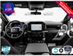 2025 Ford F-150 STX (Stk: 25F1279) in St. Catharines - Image 19 of 21