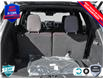2025 Ford Explorer Platinum (Stk: 250119) in Hamilton - Image 7 of 25