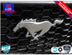 2025 Ford Mustang GT (Stk: 250133) in Hamilton - Image 9 of 26