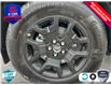2025 Ford Bronco Sport Big Bend (Stk: 25BS456) in St. Catharines - Image 6 of 20
