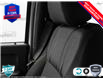 2025 Ford F-150 STX (Stk: 25F1224) in St. Catharines - Image 19 of 24