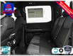 2025 Ford F-150 STX (Stk: 25F1224) in St. Catharines - Image 20 of 24