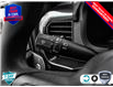 2025 Ford F-150 STX (Stk: 25F1224) in St. Catharines - Image 23 of 24