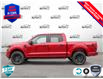 2025 Ford F-150 STX (Stk: 25F1215) in St. Catharines - Image 3 of 24