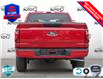 2025 Ford F-150 STX (Stk: 25F1215) in St. Catharines - Image 5 of 24