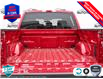 2025 Ford F-150 STX (Stk: 25F1215) in St. Catharines - Image 7 of 24