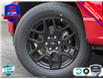 2025 Ford F-150 STX (Stk: 25F1215) in St. Catharines - Image 8 of 24