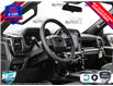 2025 Ford F-150 STX (Stk: 25F1215) in St. Catharines - Image 12 of 24