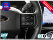 2025 Ford F-150 STX (Stk: 25F1215) in St. Catharines - Image 15 of 24