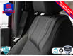 2025 Ford F-150 STX (Stk: 25F1215) in St. Catharines - Image 20 of 24