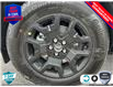 2025 Ford Bronco Sport Big Bend (Stk: 25BS492) in St. Catharines - Image 6 of 20