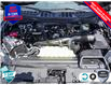 2025 Ford F-150 STX (Stk: 25F1181) in St. Catharines - Image 6 of 24