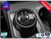 2025 Ford Bronco Sport Big Bend (Stk: 250079) in Hamilton - Image 13 of 20