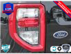 2025 Ford Bronco Sport Big Bend (Stk: 25BS510) in St. Catharines - Image 9 of 23