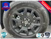 2025 Ford Bronco Sport Big Bend (Stk: 5B028) in Oakville - Image 6 of 20